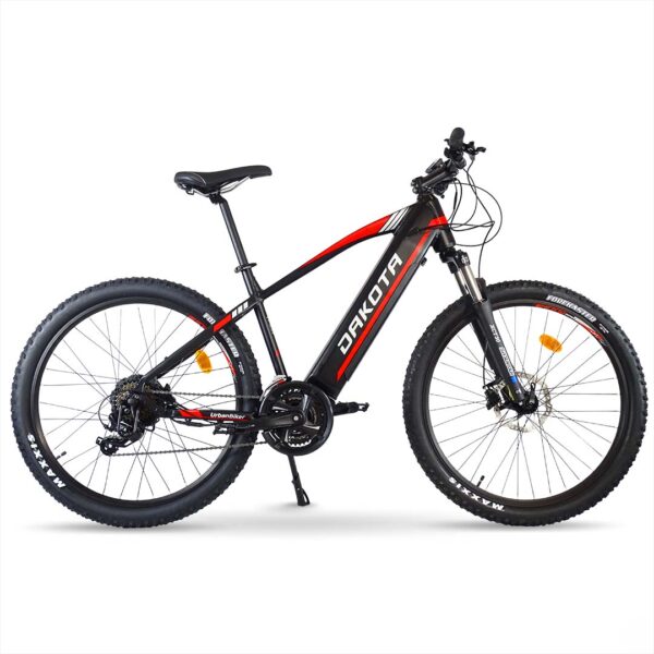 Rueda con motor 250W UBK Systems X2 para Urbanbiker Viena y Dakota - Imagen 2